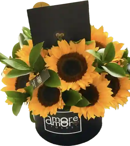 Floristeria-caja De Girasoles
