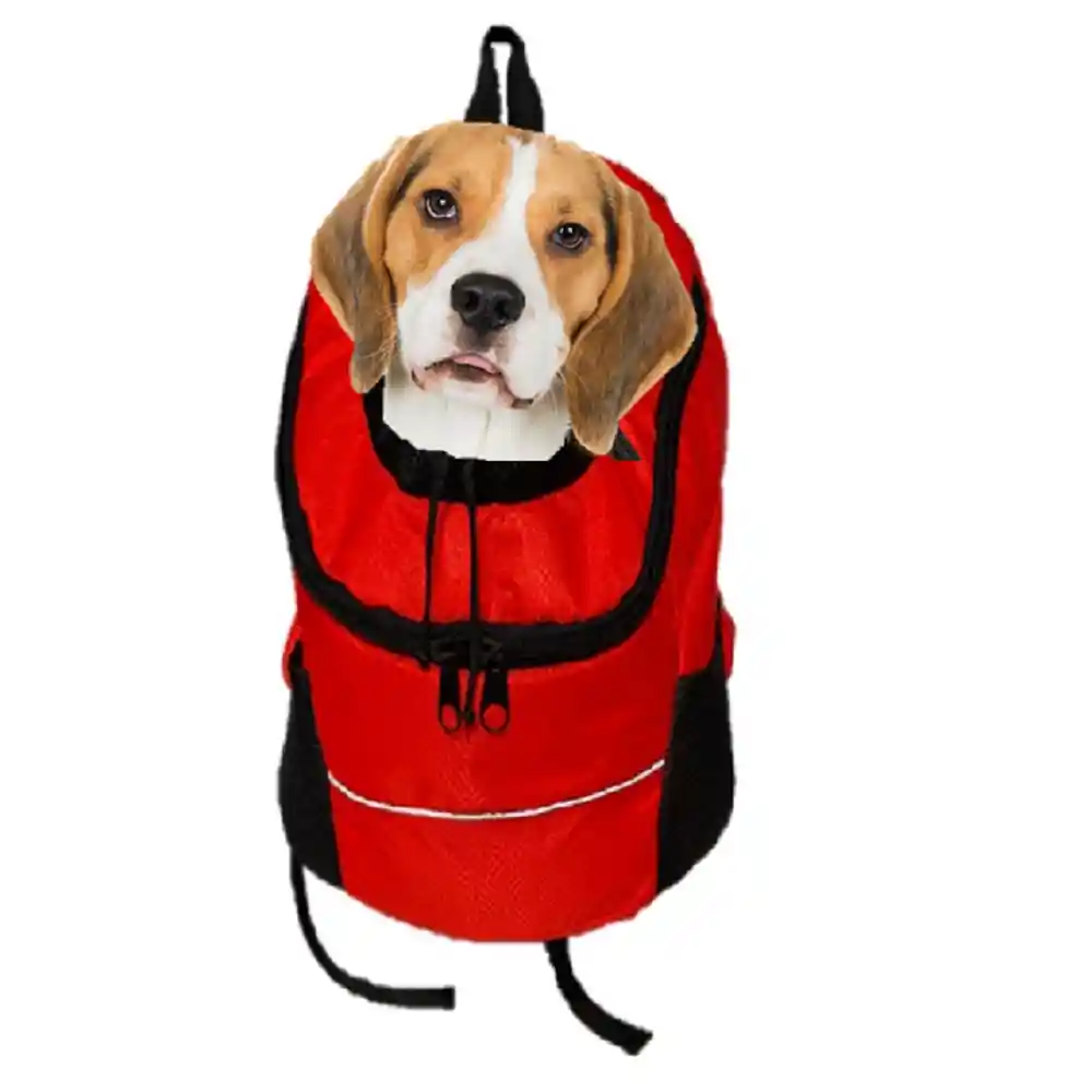 Mochila Bolso Hueco Grande Tipo Morral Para Perros Medianos