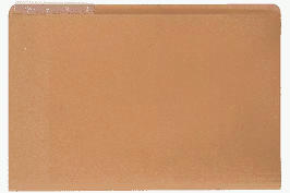 Carpeta Folder Carta Celuguia