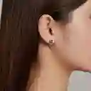 Aretes Topos Flor Cristales Para Niña O Mujer En Plata 925