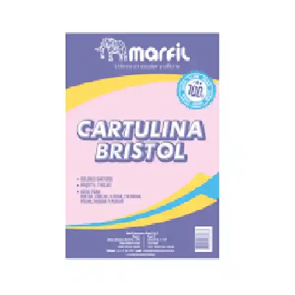 Cartulina Bristol X7 Unidades Colores Pasteles