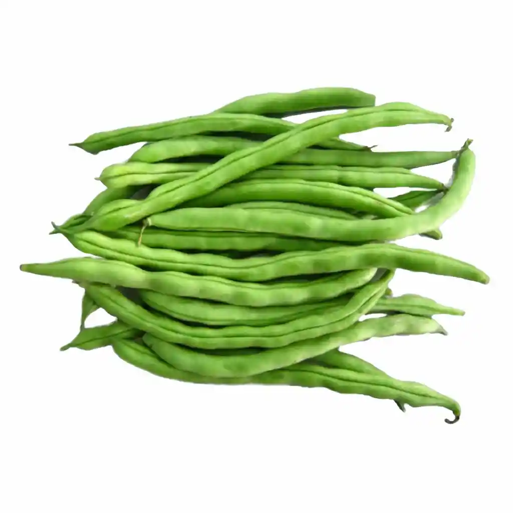 Habichuela Verde