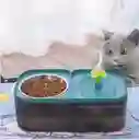 Comedero Doble Con Fuente De Agua Para Mascotas