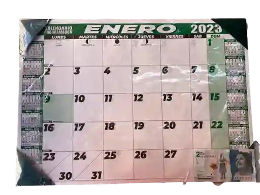 Programador (calendario) Mediano Mesa 2024 Punteras