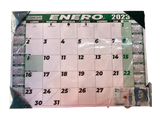 Programador (calendario) Mediano Mesa 2024 Punteras