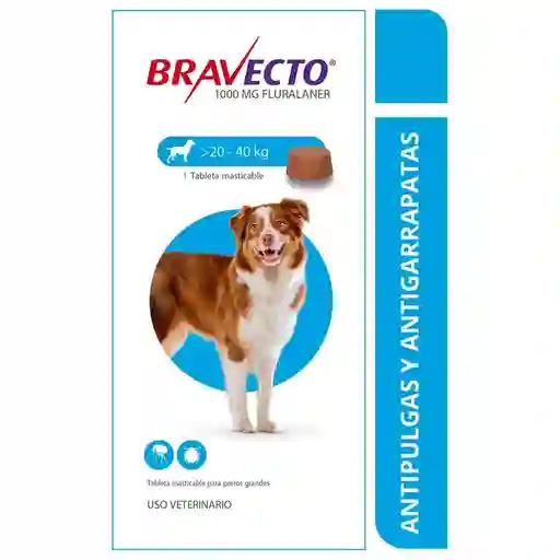 Bravecto Perro 20 A 40 Kg 1 Tableta 3 Meses