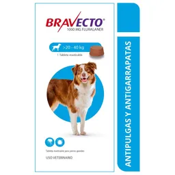 Bravecto Perro 20 A 40 Kg 1 Tableta 3 Meses