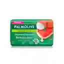 Palmolive Jabonsandia Y Lychee