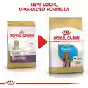 Royal Canin Bhn Puppy Raza Cocker 3kg