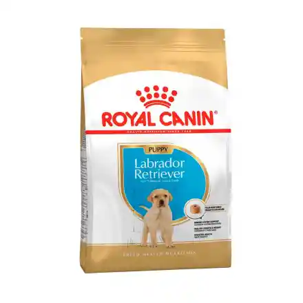 Royal Canin Perros Puppy Labrador 12 Kg