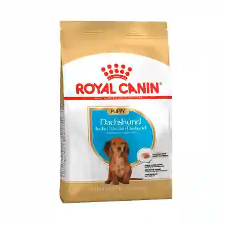 Royal Canin Perros Puppy Dachshund 1.13 Kg