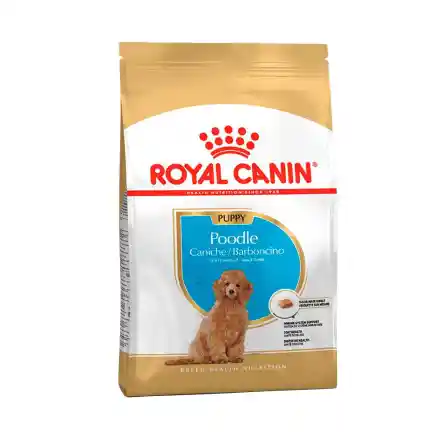 Royal Canin Perros Puppy Poodle 3 Kg