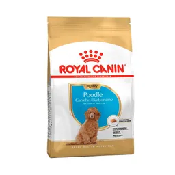 Royal Canin Perros Puppy Poodle 3 Kg