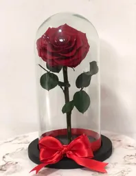 Rosa Preservada O Eterna Roja Vino