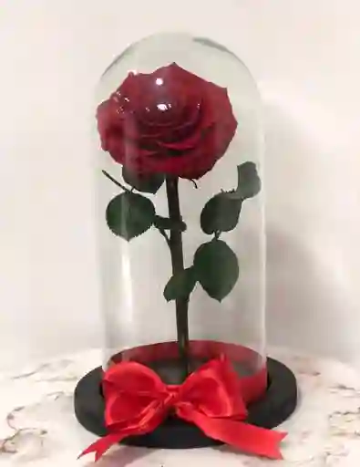 Rosa Preservada O Eterna Roja Vino