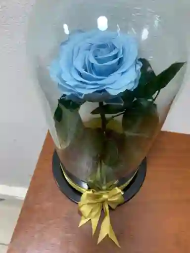 Rosa Preservada O Eterna Azul Claro