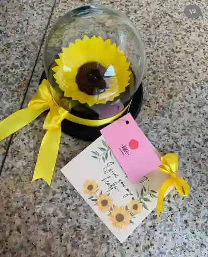 Girasol Preservado