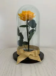 Rosa Preservada O Eterna Amarilla Oro