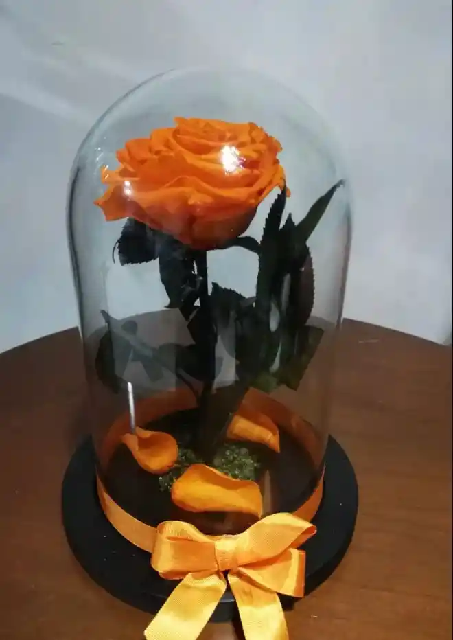 Rosa Preservada O Eterna Naranja Milenium