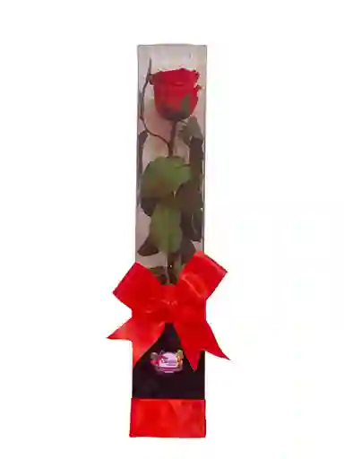 Rosa Preservada Box