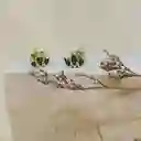 Aretes Olivo