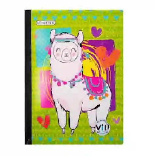 Cuaderno Rayado 100h Femenino Cosido