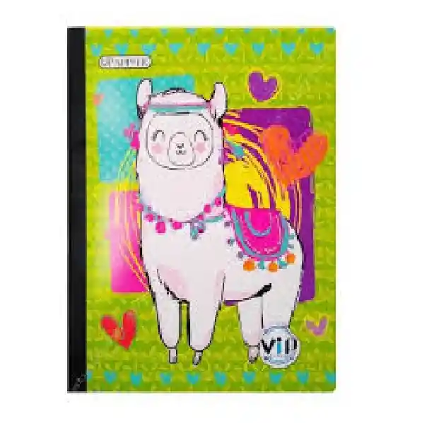 Cuaderno Rayado 100h Femenino Cosido