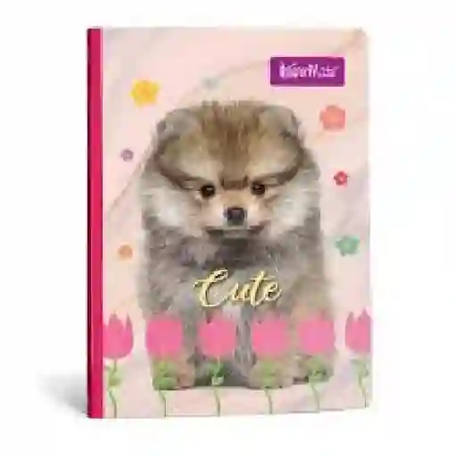 Cuaderno Cuadriculado 50h Femenino Cosido