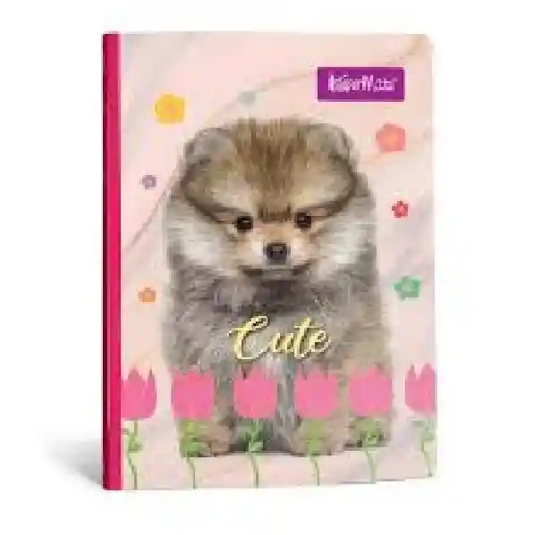 Cuaderno Cuadriculado 50h Femenino Cosido