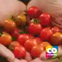 Tomate Cherry Por Libra