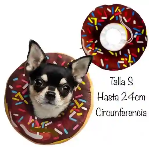 Collar Isabelino Dona Para Perro Talla S (20-26cm Cuello)