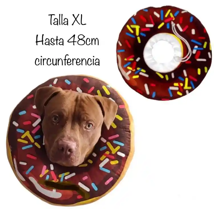 Collar Isabelino Dona Para Perro Talla Xl (42-49cm Cuello)