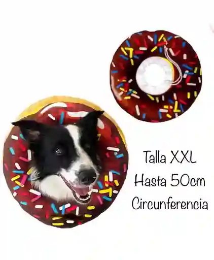 Collar Isabelino Dona Para Perro Talla Xxl (48-56cm Cuello)