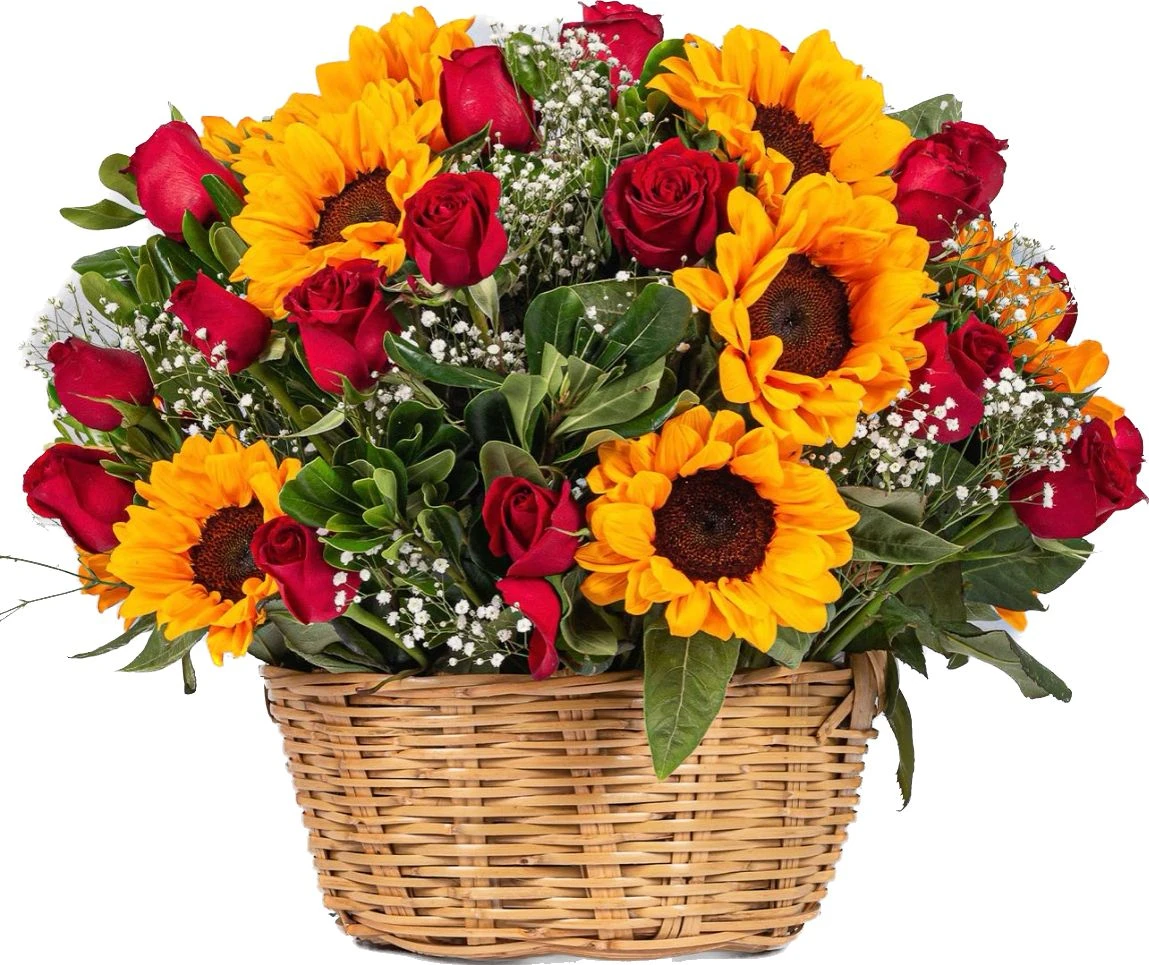 Canasta De Rosas Rojas X24 Y Girasoles X8 — envío a domicilio en Bogotá. Flores Les Roses.