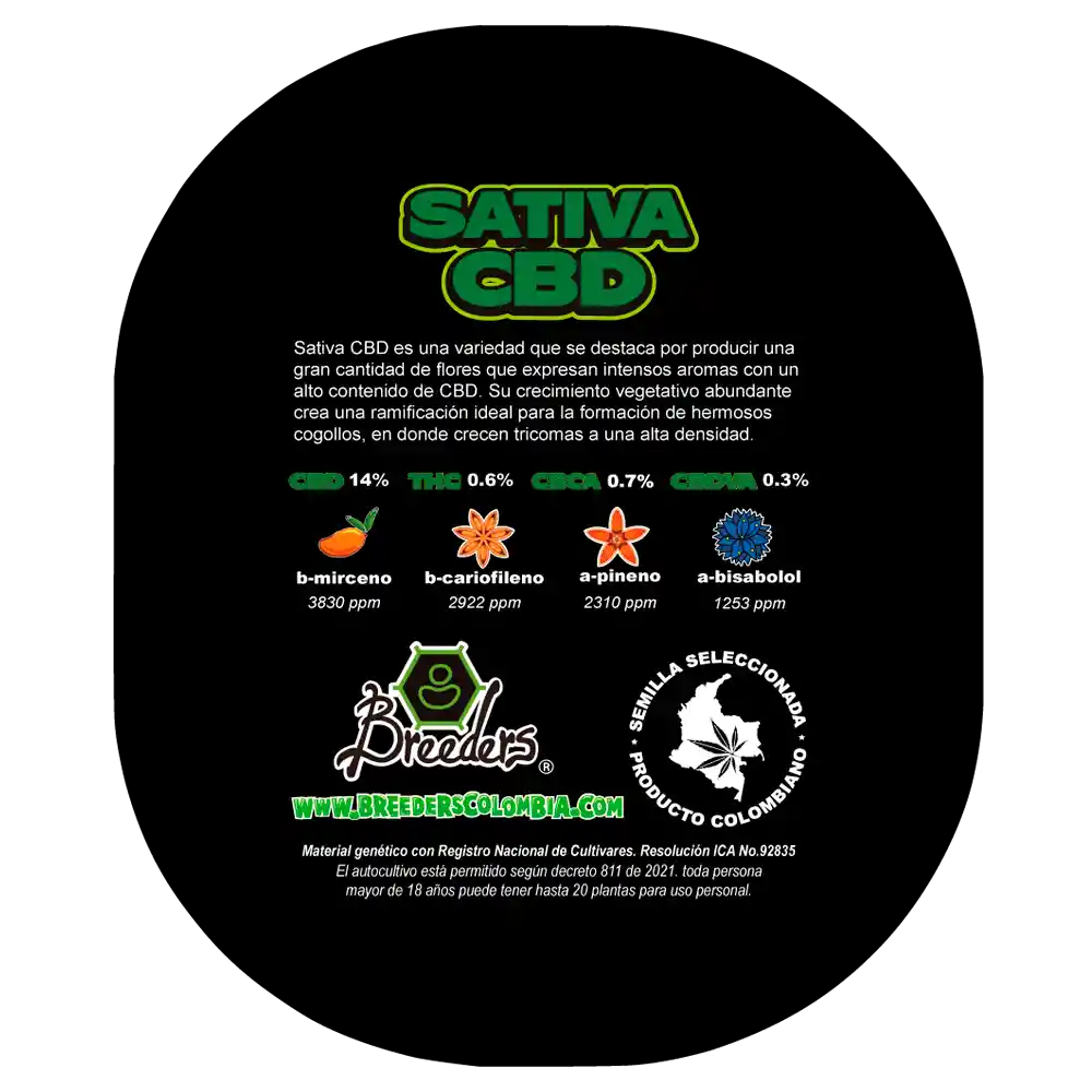 Semillas De Cannabis - Sativa Cbd