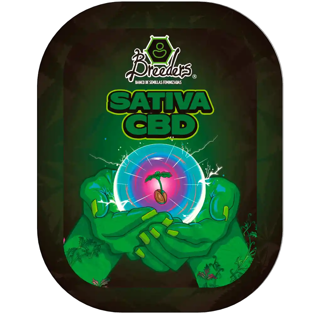 Semillas De Cannabis - Sativa Cbd