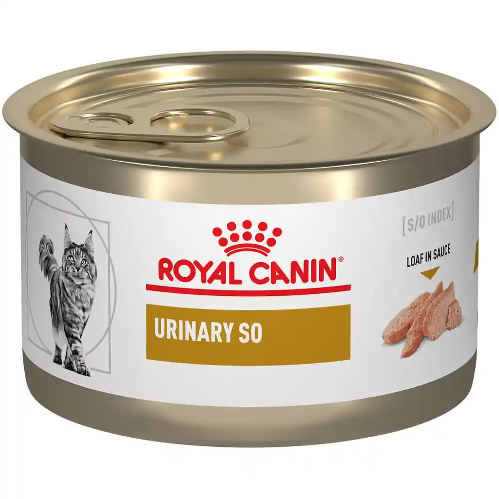 Royal Canin Gato Lata Urinary 145gr