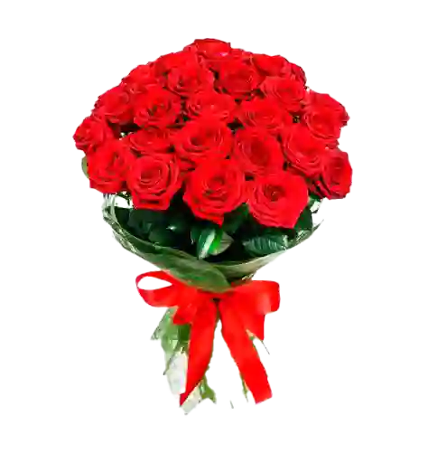 Ramo 24 Rosas Rojas
