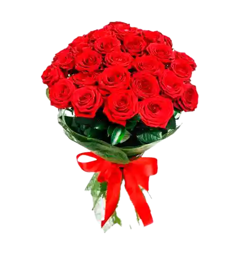 Ramo 24 Rosas Rojas