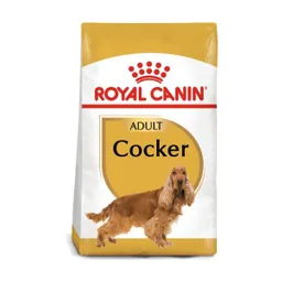 Royal Canin Perro Cocker Adulto X 3 Kg