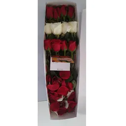 12 Rosas En Blanco Y Rojo En Caja