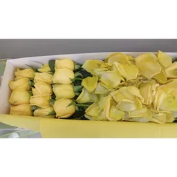 12 Rosas Amarillas En Caja