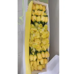 24 Rosas Amarillas En Caja