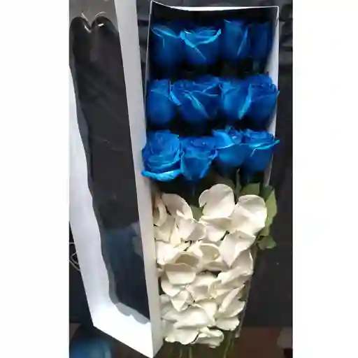 12 Rosas Azules En Caja