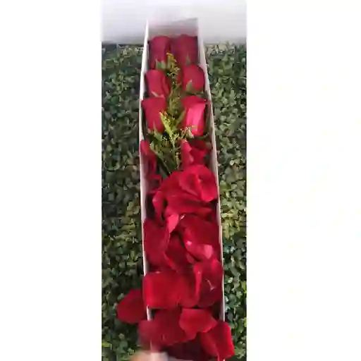 6 Rosas En Caja