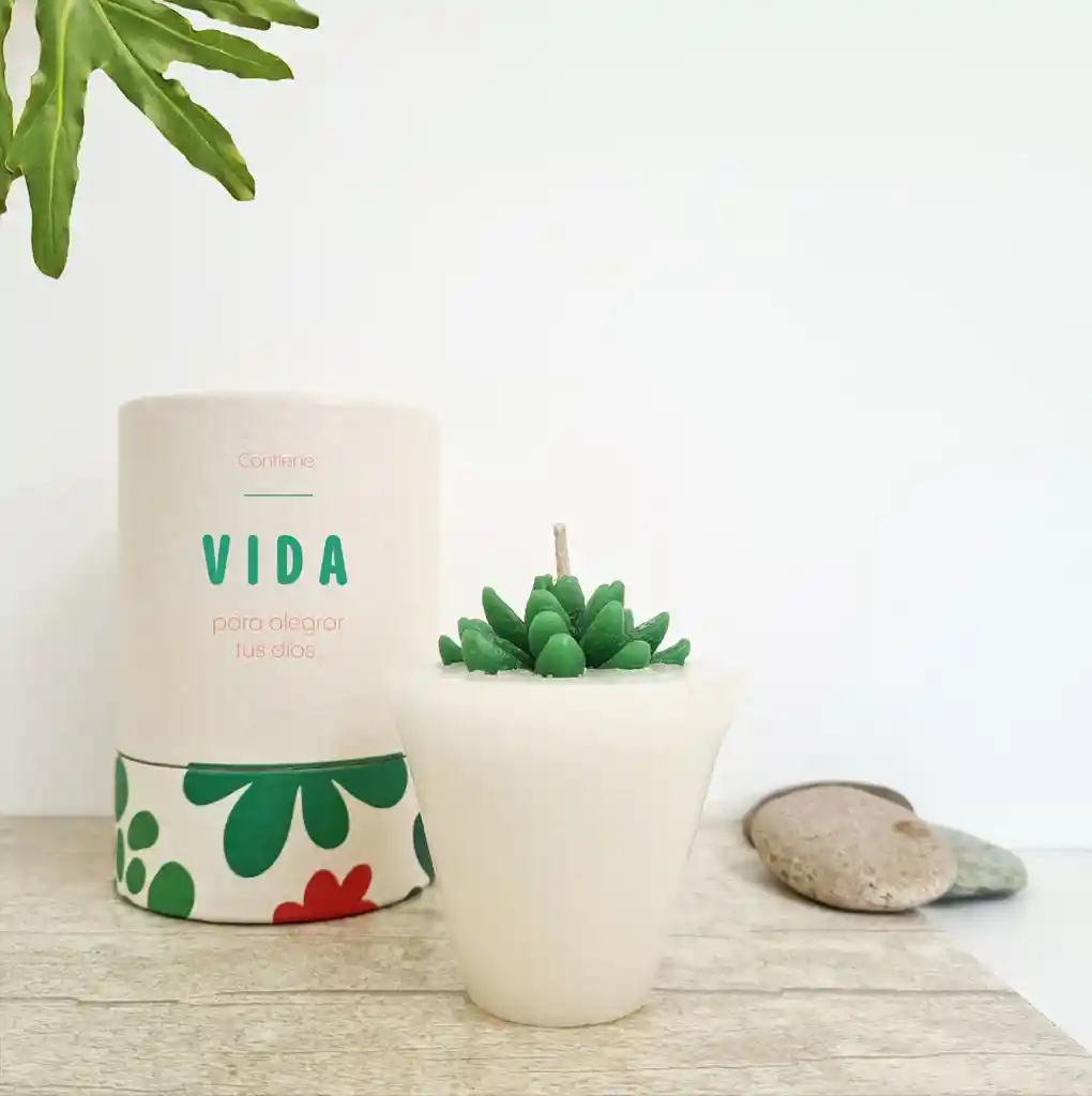 Regalo De Vida En Vela🕯️- Vainilla