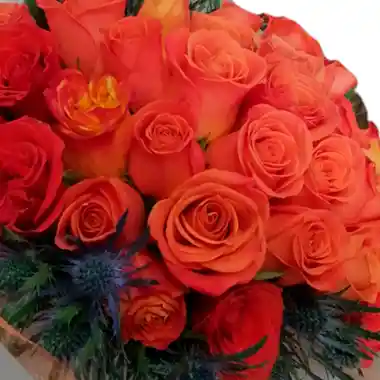 36 Rosas Salmón Bouquet