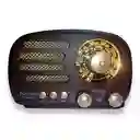 Radio Am Y Fm Parlante Bluetooth Vintage Fx-194bt