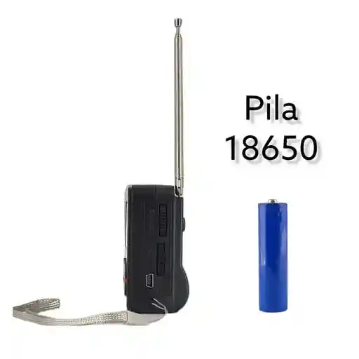 Radio Baijiali Tf, Fm/am/sw Usb Pila Recargable