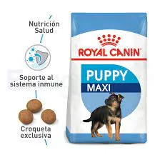 Royal Canin Para Perros Maxi 4kg